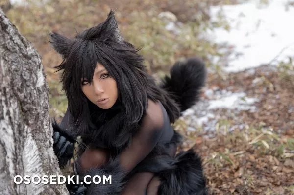 Timber wolf - Photo 11