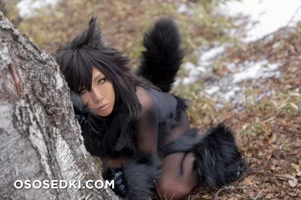 Timber wolf - Photo 13