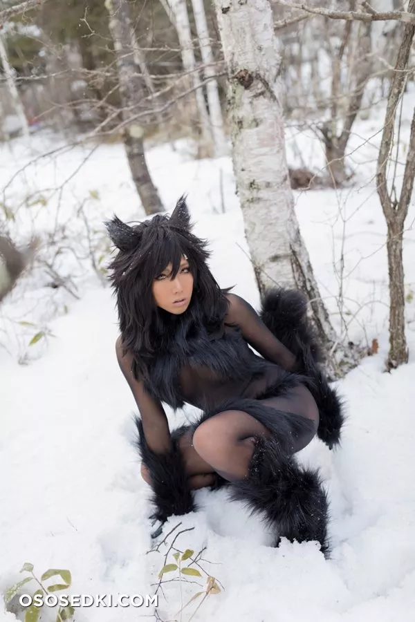 Timber wolf - Photo 24