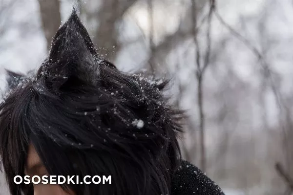 Timber wolf - Photo 28