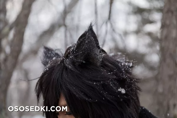 Timber wolf - Photo 29