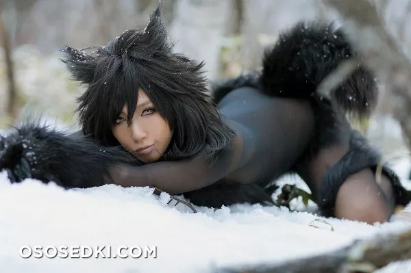 Timber wolf - Photo 50