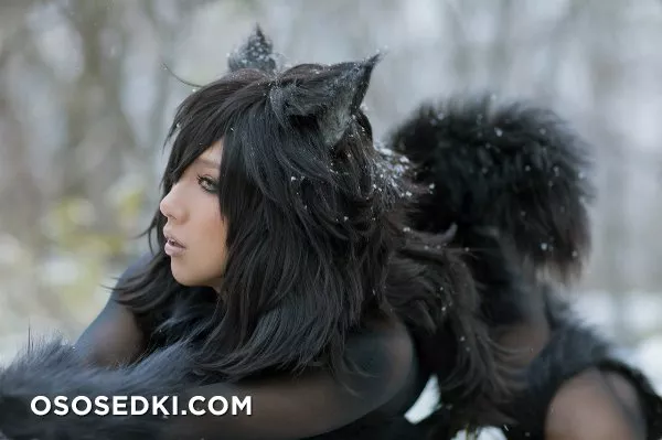 Timber wolf - Photo 52