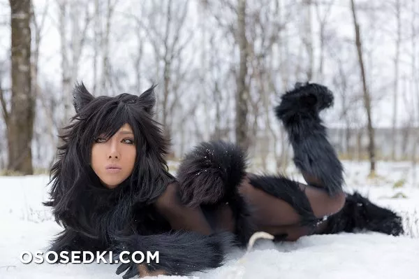 Timber wolf - Photo 56