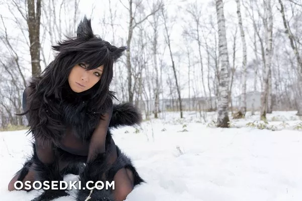 Timber wolf - Photo 105