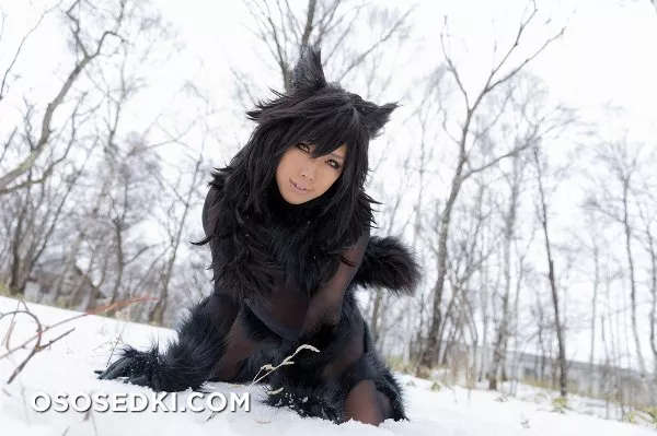 Timber wolf - Photo 107