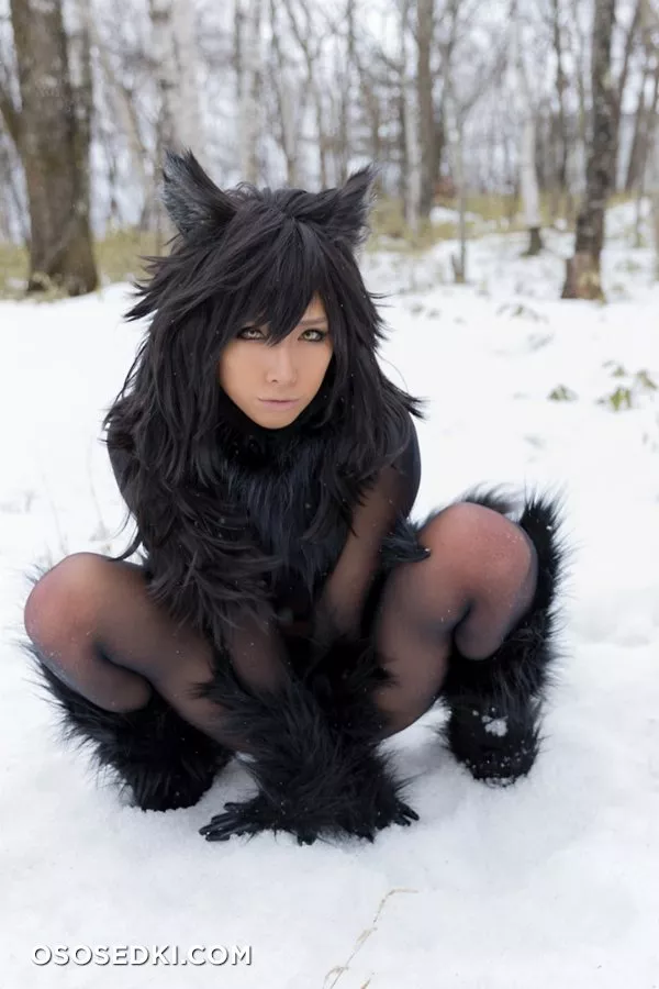 Timber wolf - Photo 110