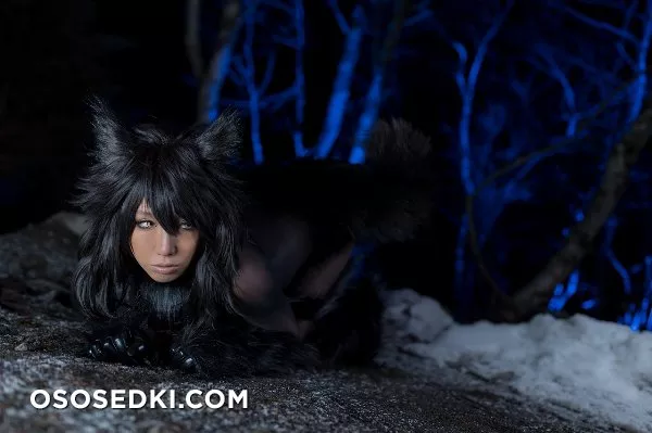 Timber wolf - Photo 118