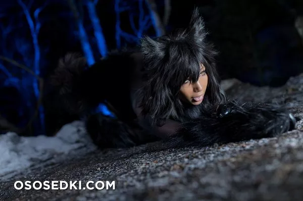 Timber wolf - Photo 122