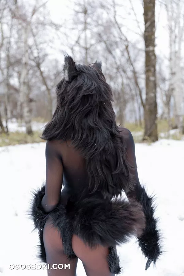 Timber wolf - Photo 139
