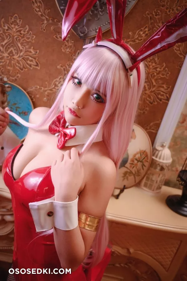 [抱走莫子][Cosplay][zero two]40P - Photo 4