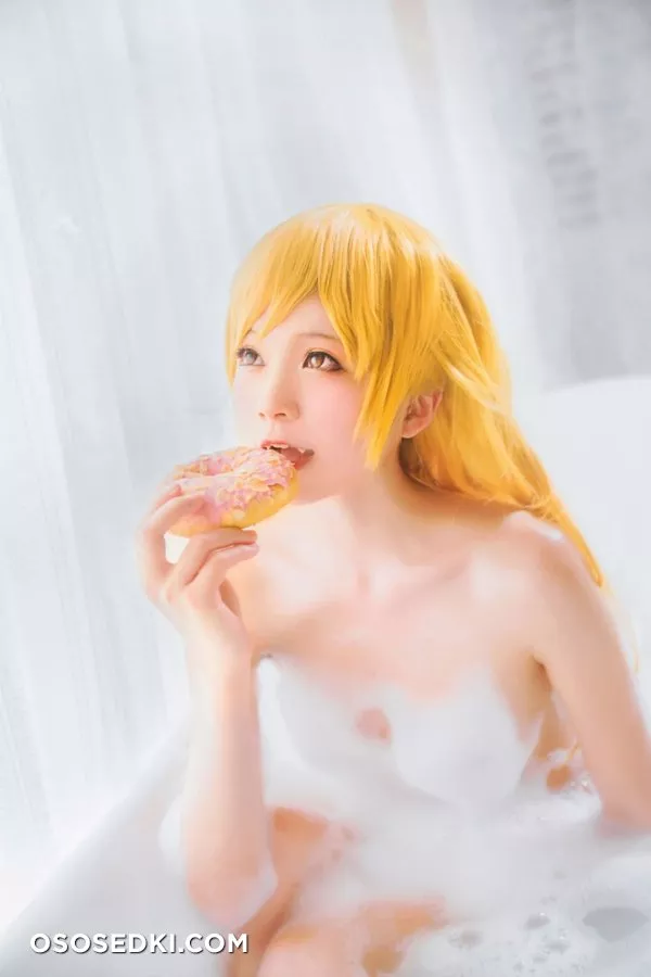 [cherryneko]Bakemonogatari-Shinobu Oshino - Photo 10
