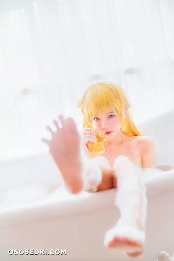 [cherryneko]Bakemonogatari-Shinobu Oshino - Photo 25