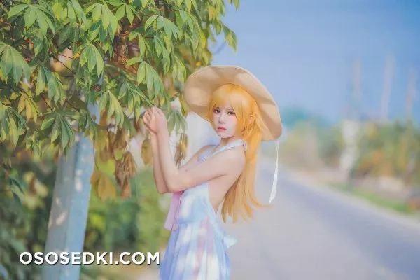 [cherryneko]Bakemonogatari-Shinobu Oshino - Photo 38