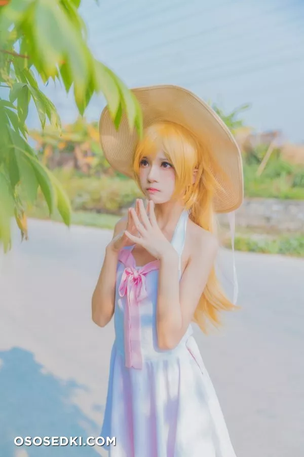 [cherryneko]Bakemonogatari-Shinobu Oshino - Photo 39
