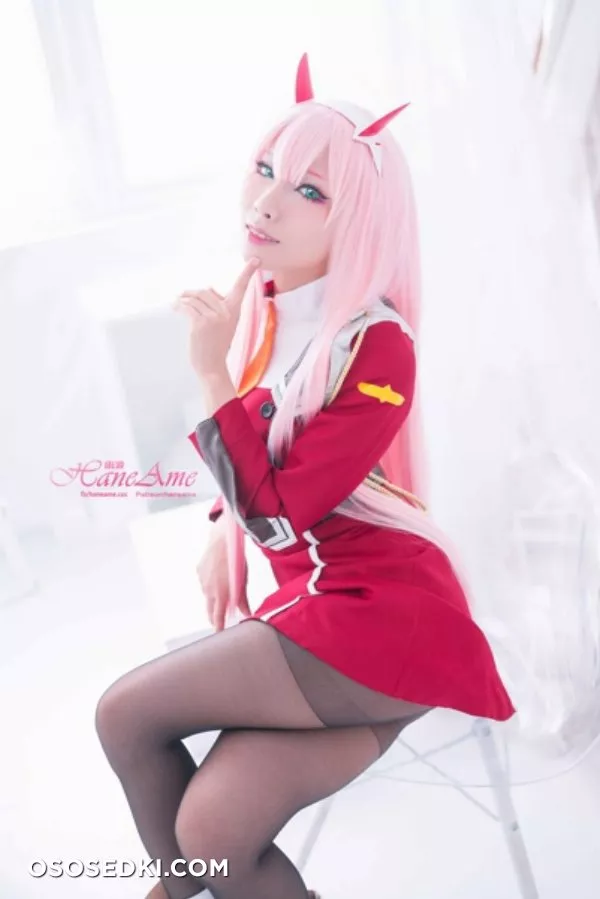 [HaneAme] Darling in the FranXX - Zero Two (Main unifrom) - Photo 1