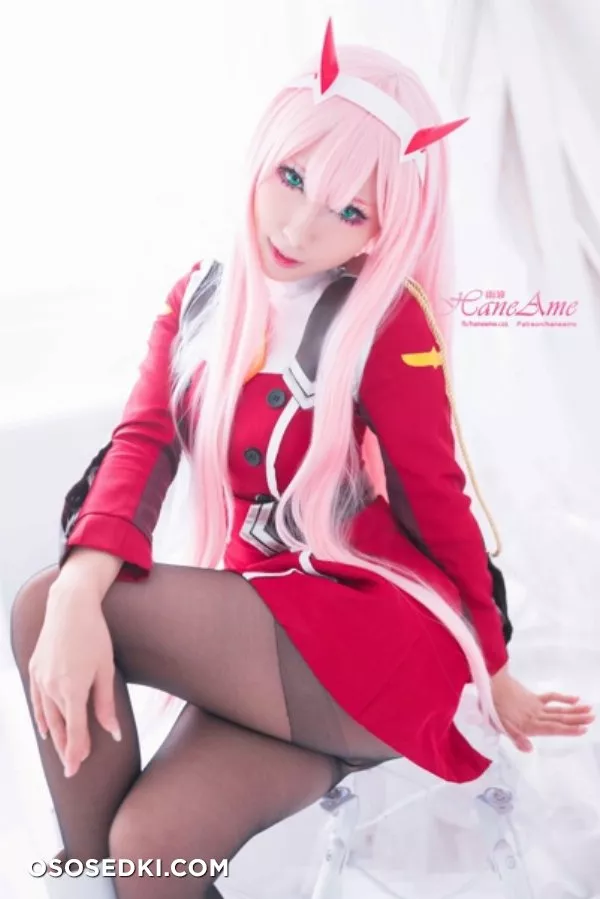 [HaneAme] Darling in the FranXX - Zero Two (Main unifrom) - Photo 3