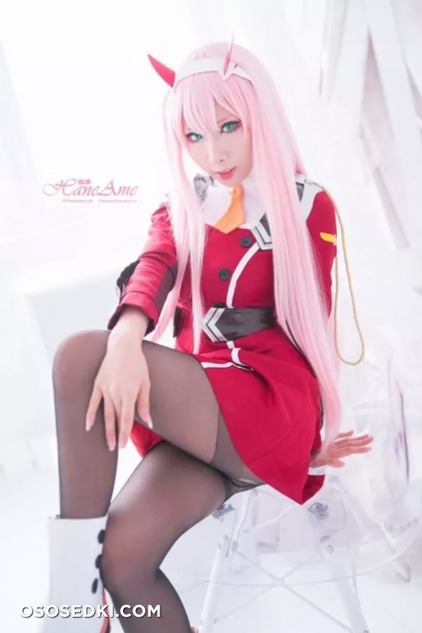 [HaneAme] Darling in the FranXX - Zero Two (Main unifrom) - Photo 4