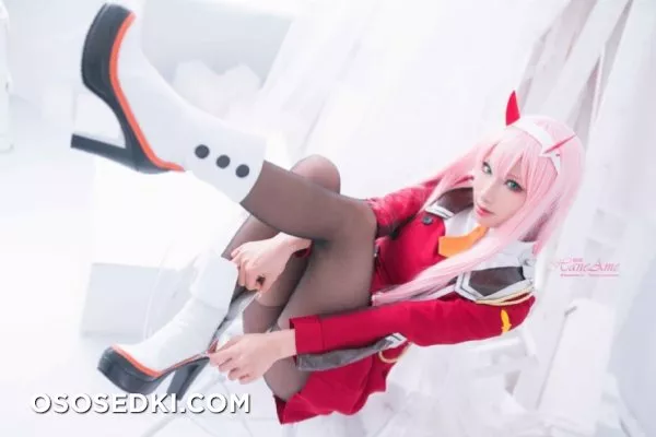 [HaneAme] Darling in the FranXX - Zero Two (Main unifrom) - Photo 6