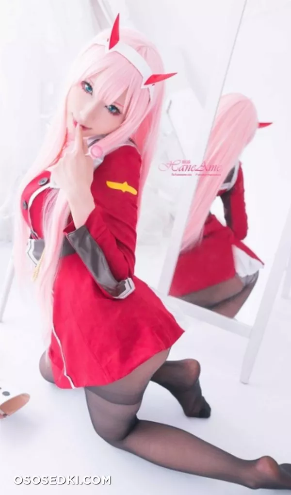 [HaneAme] Darling in the FranXX - Zero Two (Main unifrom) - Photo 9