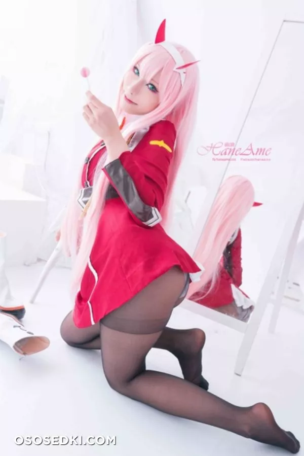 [HaneAme] Darling in the FranXX - Zero Two (Main unifrom) - Photo 10