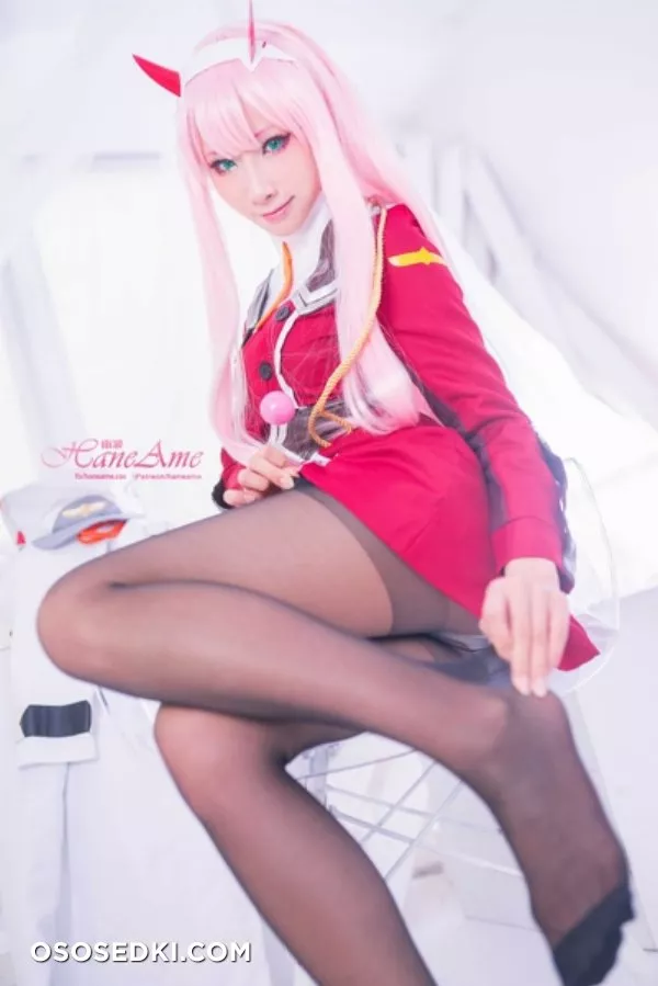 [HaneAme] Darling in the FranXX - Zero Two (Main unifrom) - Photo 12