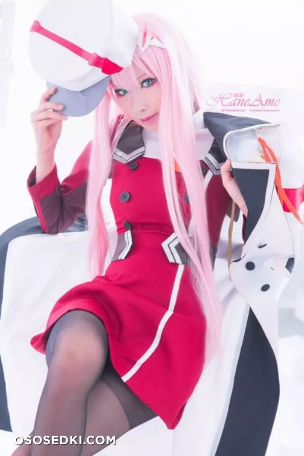 [HaneAme] Darling in the FranXX - Zero Two (Main unifrom) - Photo 14