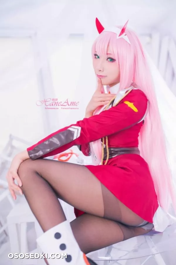[HaneAme] Darling in the FranXX - Zero Two (Main unifrom) - Photo 18