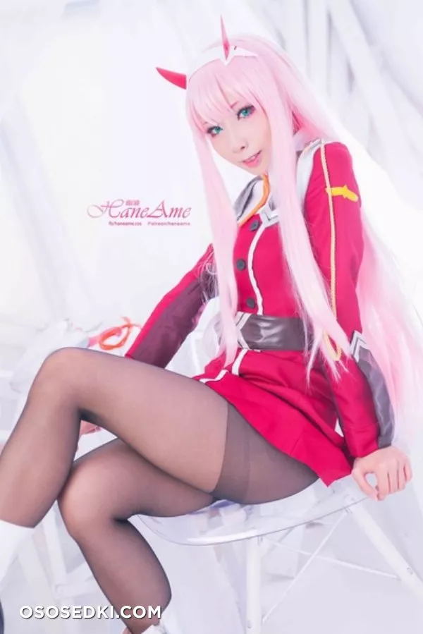 [HaneAme] Darling in the FranXX - Zero Two (Main unifrom) - Photo 19