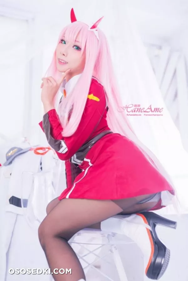 [HaneAme] Darling in the FranXX - Zero Two (Main unifrom) - Photo 20