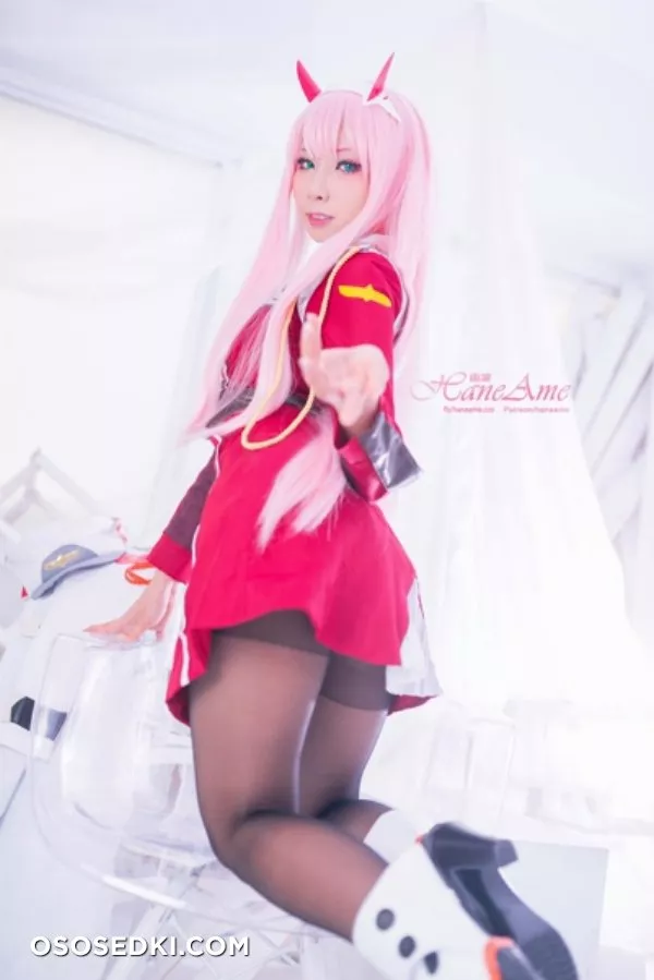 [HaneAme] Darling in the FranXX - Zero Two (Main unifrom) - Photo 21