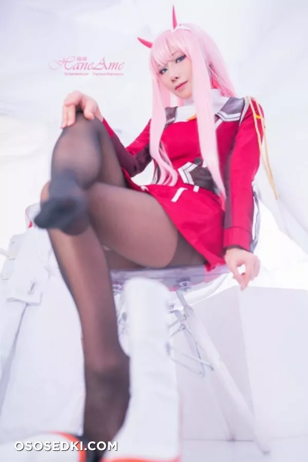 [HaneAme] Darling in the FranXX - Zero Two (Main unifrom) - Photo 22