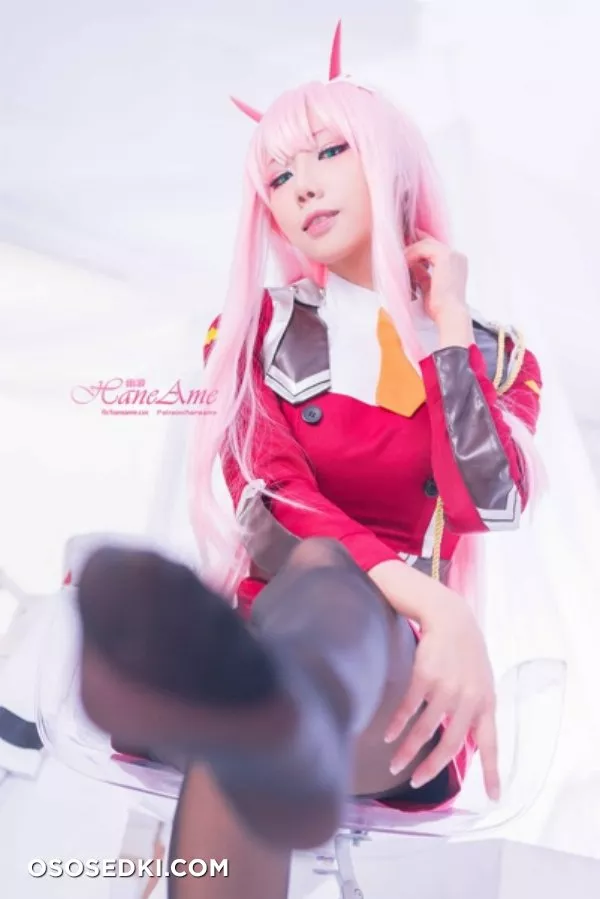 [HaneAme] Darling in the FranXX - Zero Two (Main unifrom) - Photo 24