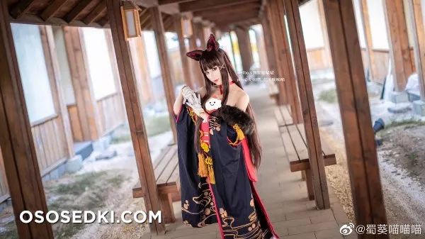 碧藍航線 赤城 凰 新春和服ver. @蜀葵喵喵喵 - Photo 1