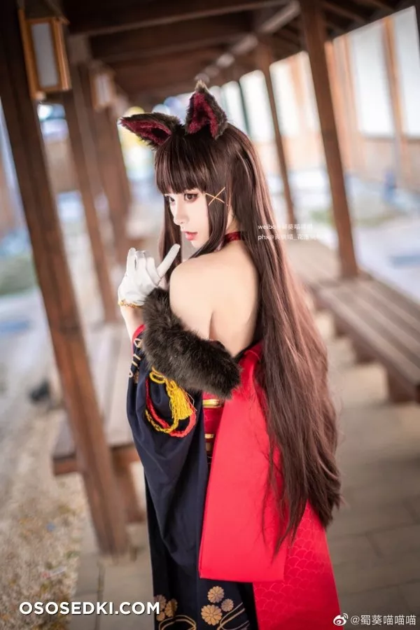 碧藍航線 赤城 凰 新春和服ver. @蜀葵喵喵喵 - Photo 4