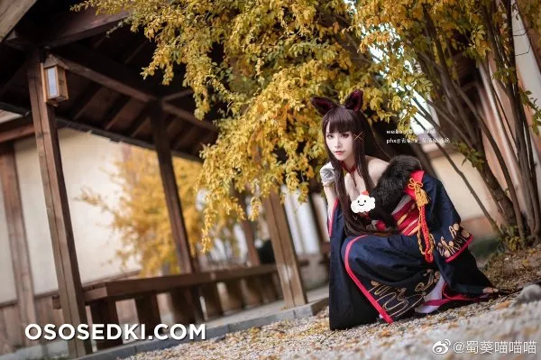 碧藍航線 赤城 凰 新春和服ver. @蜀葵喵喵喵 - Photo 6