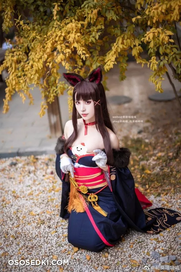 碧藍航線 赤城 凰 新春和服ver. @蜀葵喵喵喵 - Photo 8