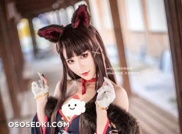碧藍航線 赤城 凰 新春和服ver. @蜀葵喵喵喵 - Photo 10
