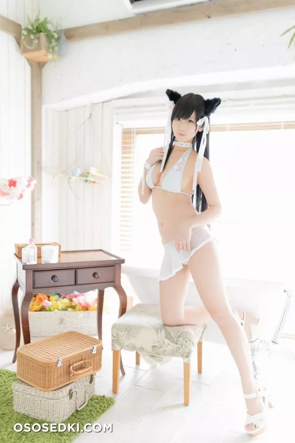 愛宕日和 (けんけん) - Photo 127