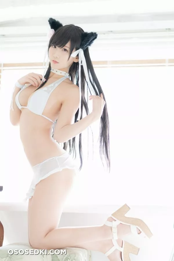 愛宕日和 (けんけん) - Photo 139
