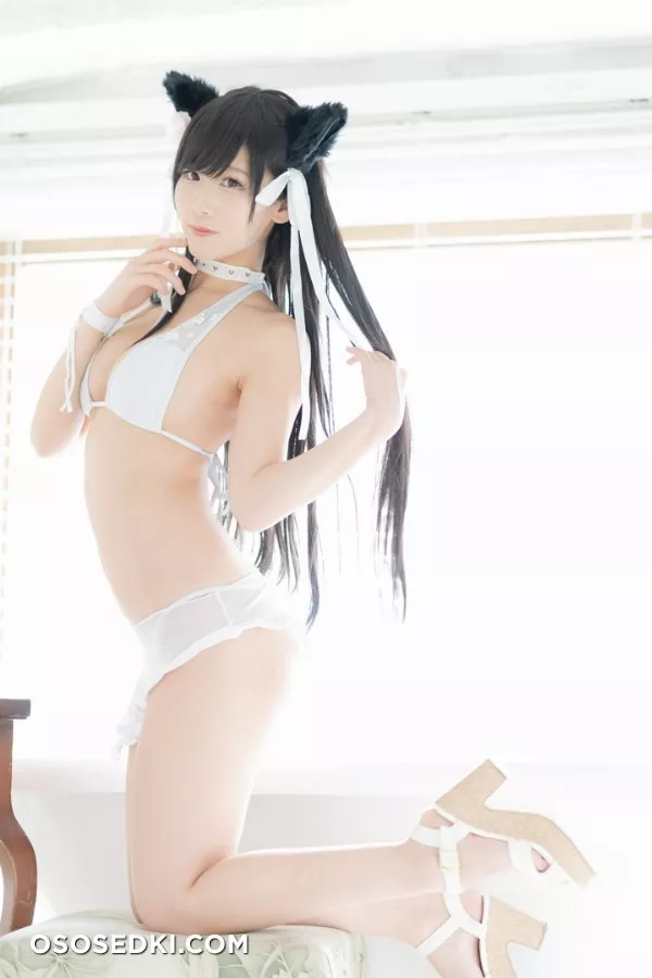 愛宕日和 (けんけん) - Photo 140