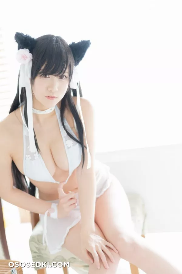 愛宕日和 (けんけん) - Photo 143