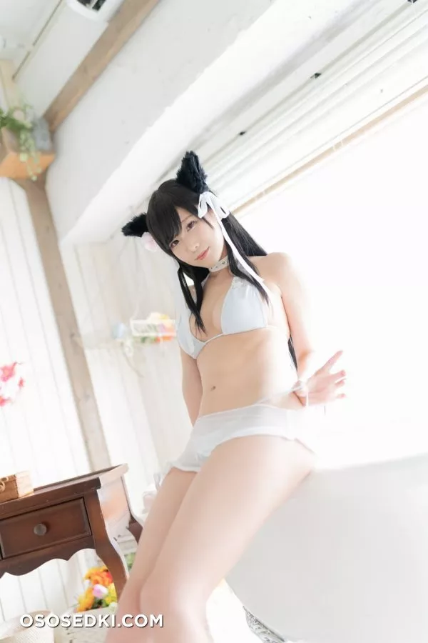 愛宕日和 (けんけん) - Photo 151
