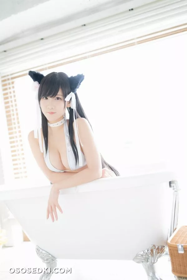 愛宕日和 (けんけん) - Photo 159