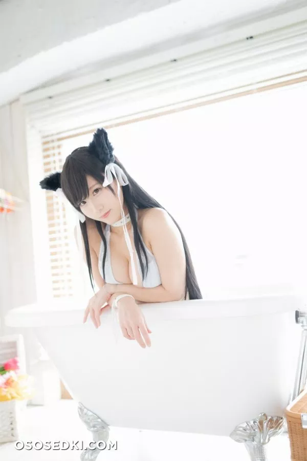 愛宕日和 (けんけん) - Photo 160