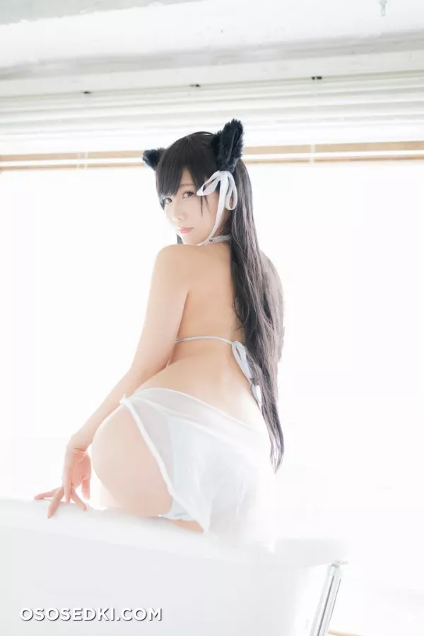 愛宕日和 (けんけん) - Photo 168