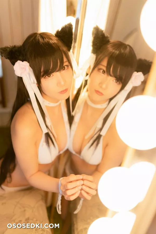 愛宕日和 (けんけん) - Photo 179