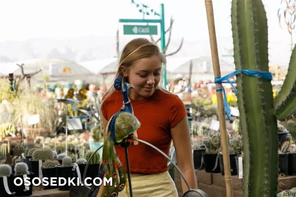 Brandy Gila Valley Growers - Photo 23