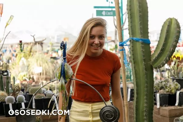 Brandy Gila Valley Growers - Photo 24