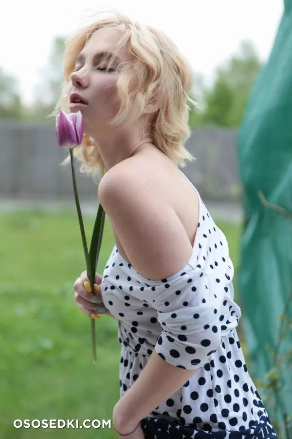 Scarlet - Cabin Life - Photo 12
